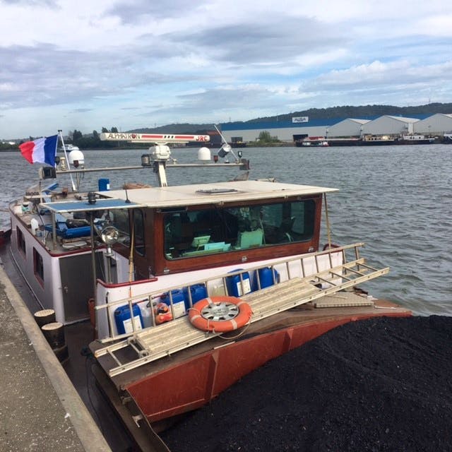 Rottweiler — thumbnail 2